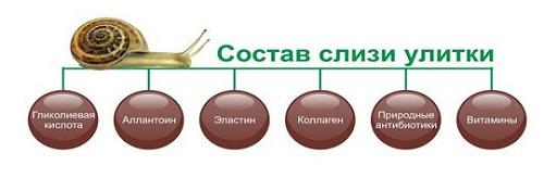 состав муцина