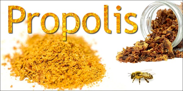 propolis